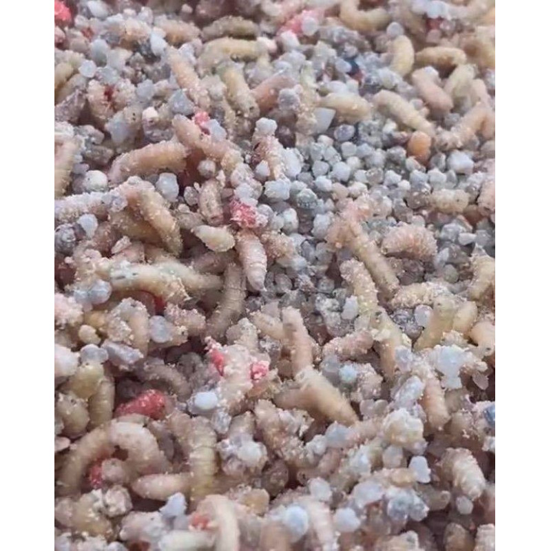 02_mg_line_cola_estabilizadora_gusanos_bolsa.jpg
